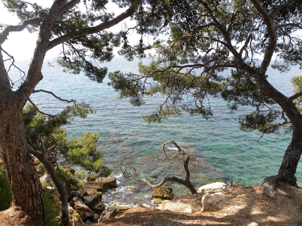 Sun & Sea Apart Bandol Zewnętrze zdjęcie